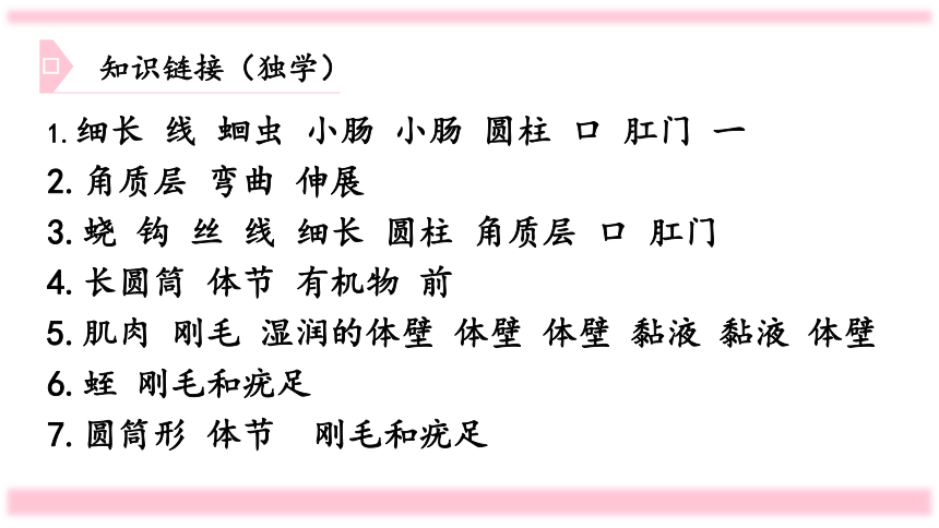 人教版八年级生物上册 5.1.2 线形动物和环节动物 课件  （36张 ）