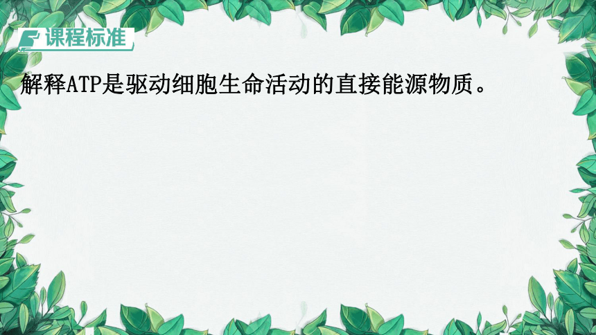 浙科版（2019）生物必修一 第三章第一节 ATP是细胞内的“能量通货”课件(共31张PPT)