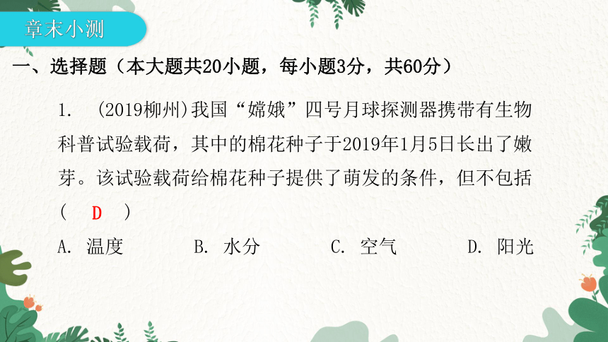 人教版生物七年级上册 第三单元生物圈中的绿色植物章末总结第二章被子植物的一生课件(共31张PPT)