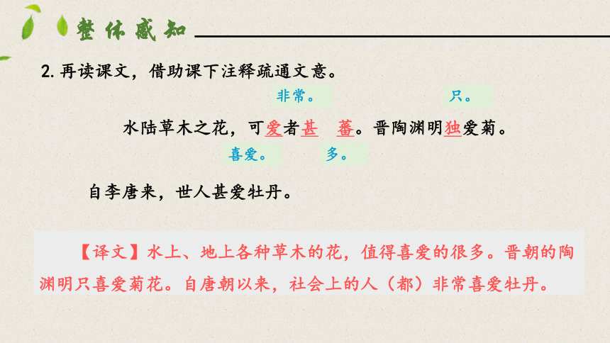 17短文两篇爱莲说 课件