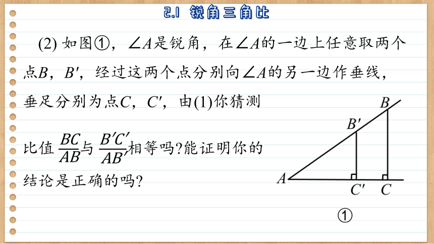 2.1  锐角三角比  初中数学九年级上册青岛版课件(共35张PPT)