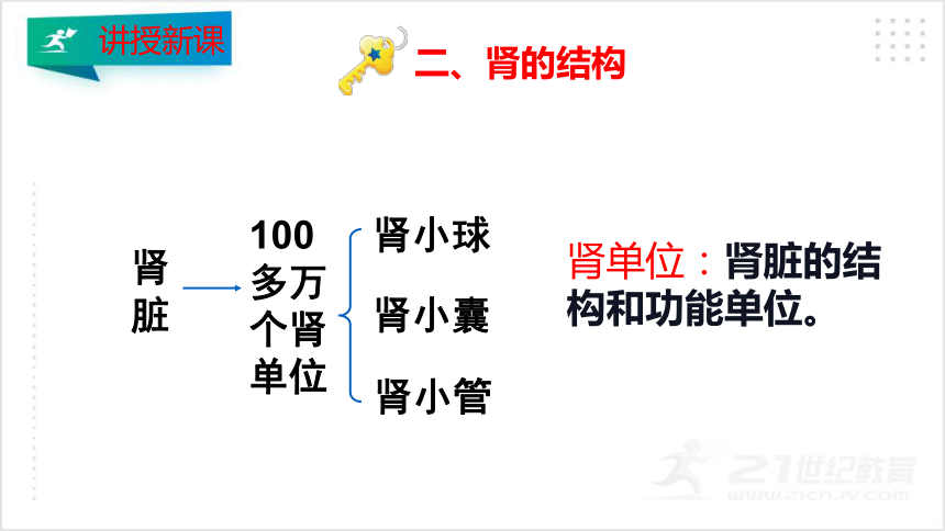 4.5人体内废物的排出 课件（30张PPT）