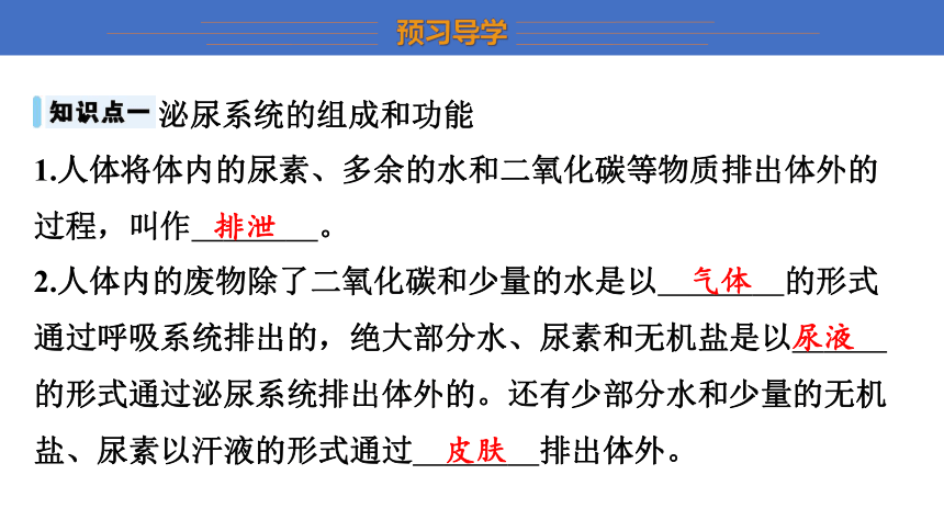 6.15.2 第1课时 泌尿系统的组成课件(共16张PPT) 2023-2024学年苏科版生物八年级上册