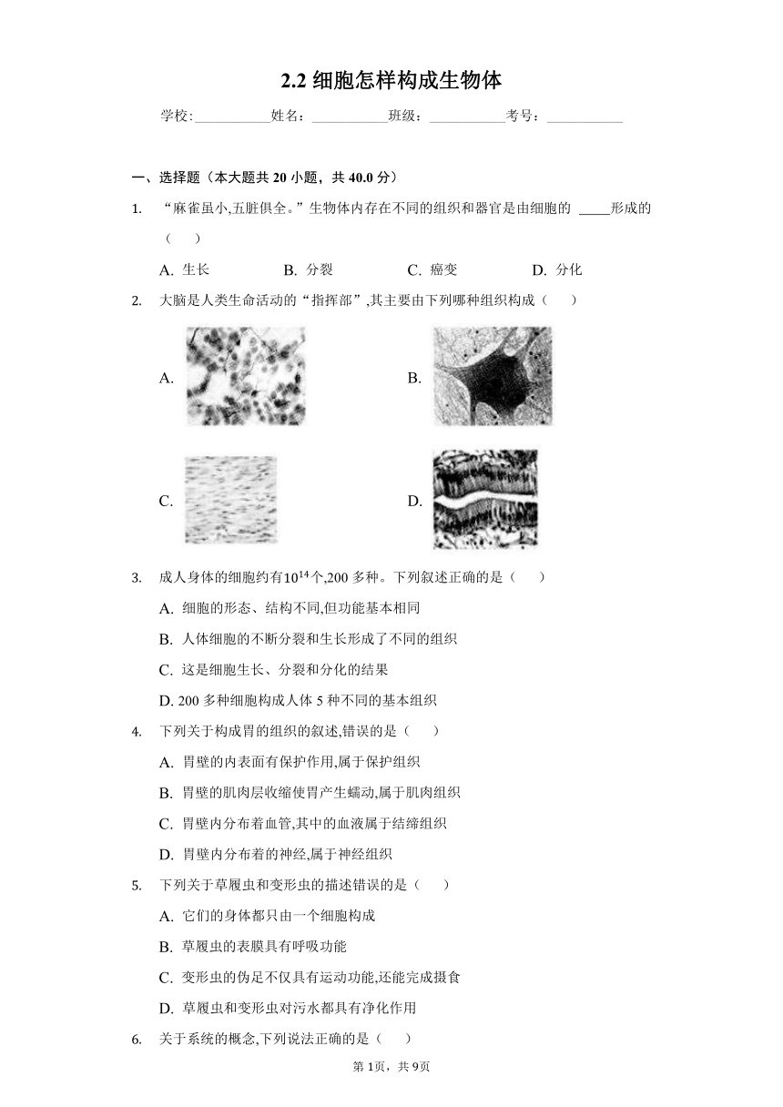 2022-2023学年人教版生物七年级上册同步练习 2.2细胞怎样构成生物体(word版含答案）