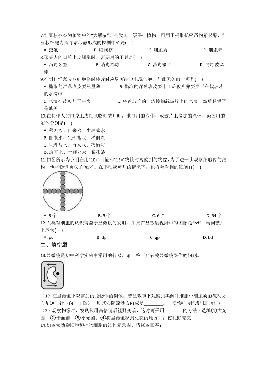 2.2 细胞 同步练习（含解析）