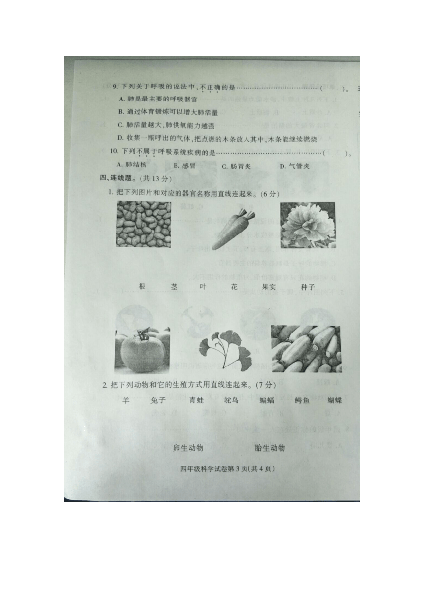 冀人版（2017秋）2020-2021学年度定州市四年级科学第二学期期中质量监测试题 （含答案图片版）