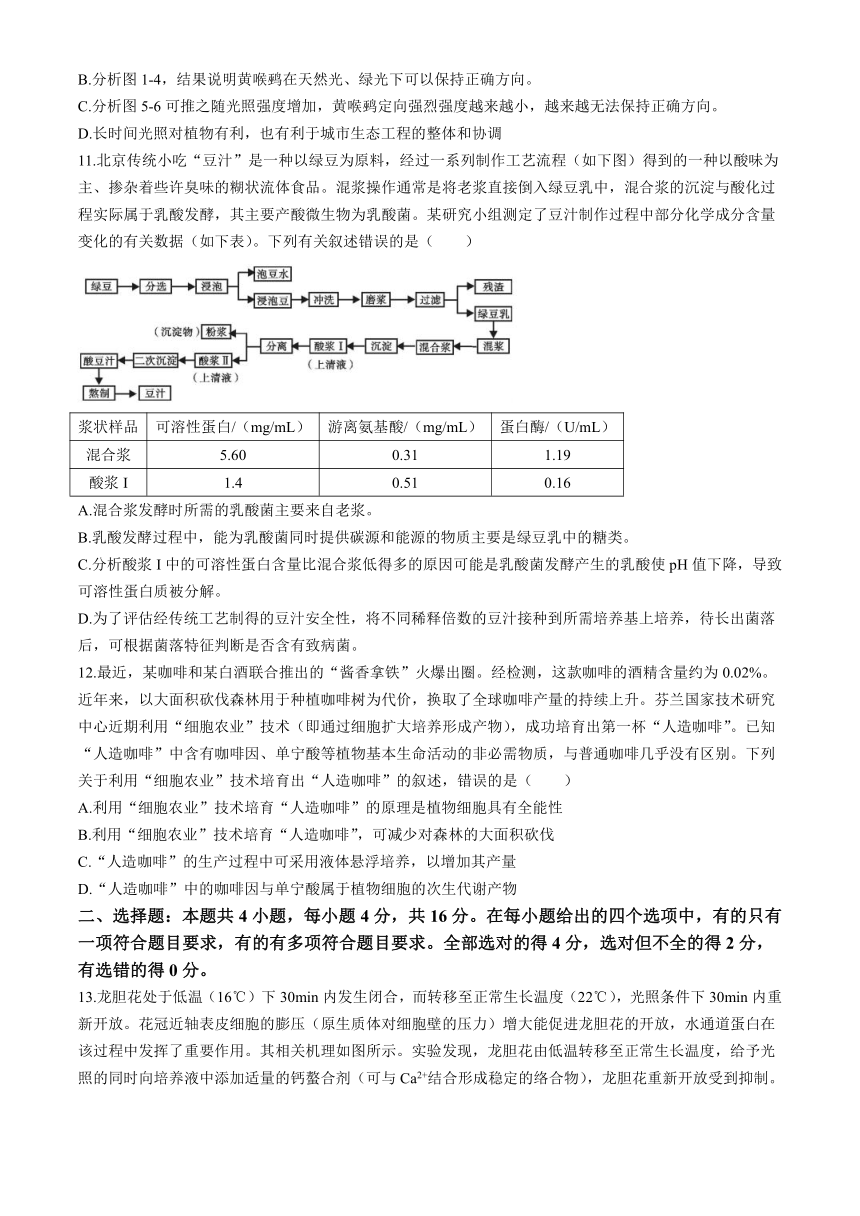 湖南省衡阳市第八中学2024届高三下学期适应性练习卷（二）生物学试题（含解析）