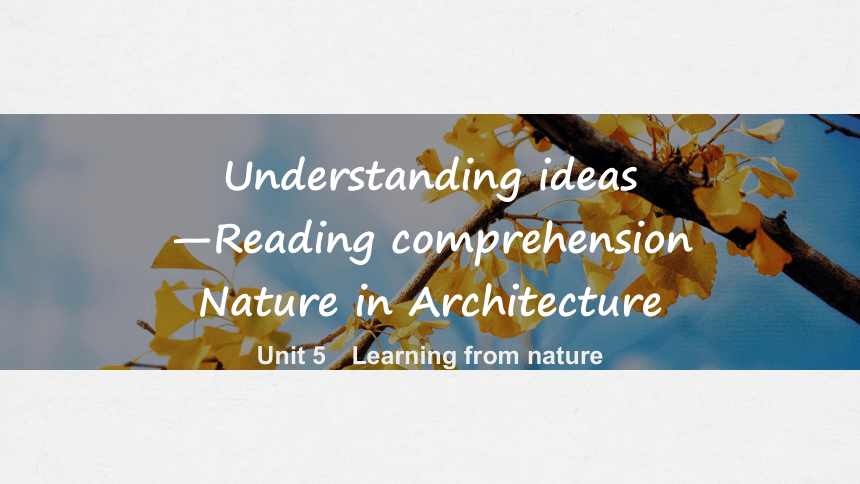 外研版（2019）选择性必修 第三册Unit5 Learning from nature Understanding ideas 课件(共40张PPT)
