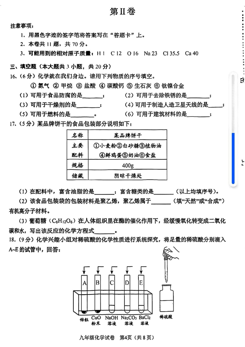 2024年天津市河西区中考一模考试化学试题（图片版无答案）
