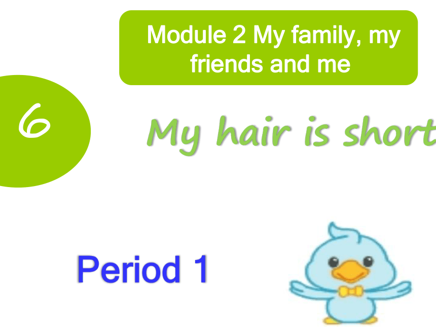 Module 2 Unit 6 My hair is short Period 1课件(共32张ppt)