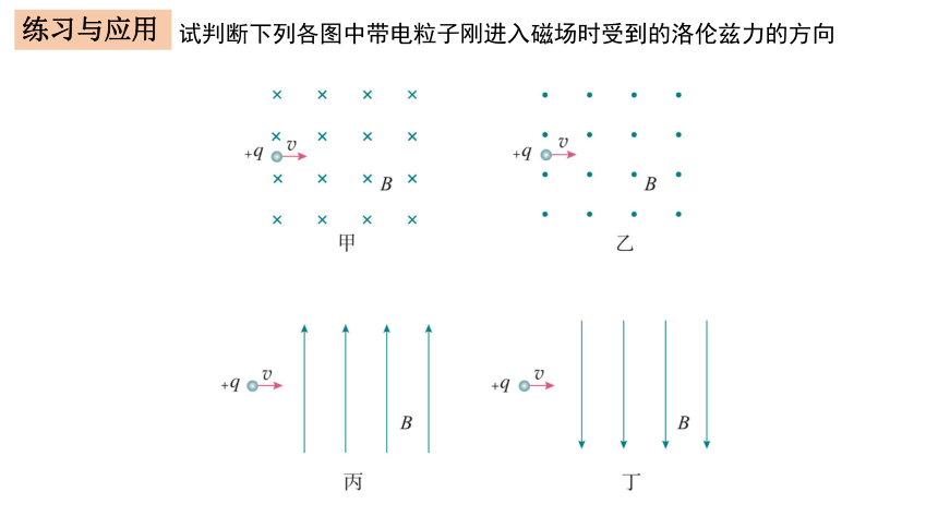 1.2磁场对运动电荷的作用力课件 （35张PPT）高二下学期物理人教版（2019）选择性必修第二册