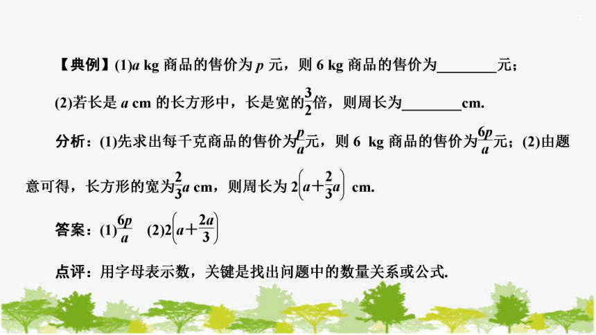 浙教版数学七年级上册 4.1用字母表示数  课件(共13张PPT)