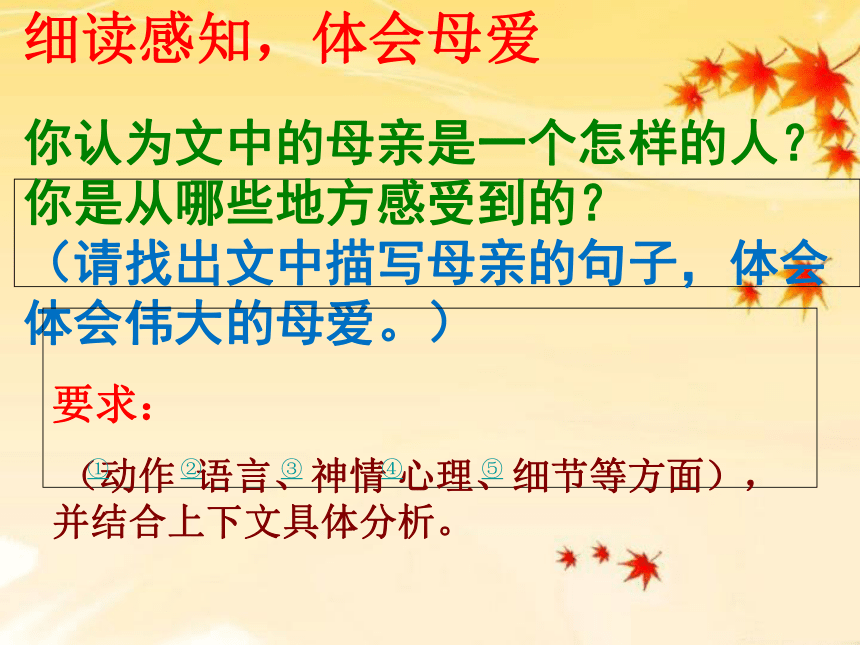 人教部编版语文七年级上册5《秋天的怀念》课件（幻灯片26张）