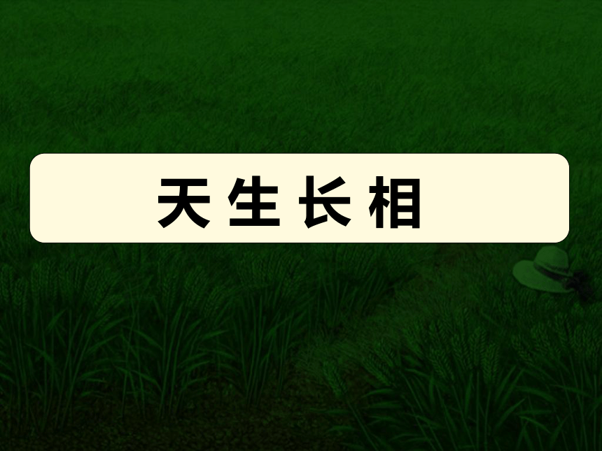 9 如何写出人物的个性 课件-2020-2021学年高中语文写作方法指导（51张PPT）