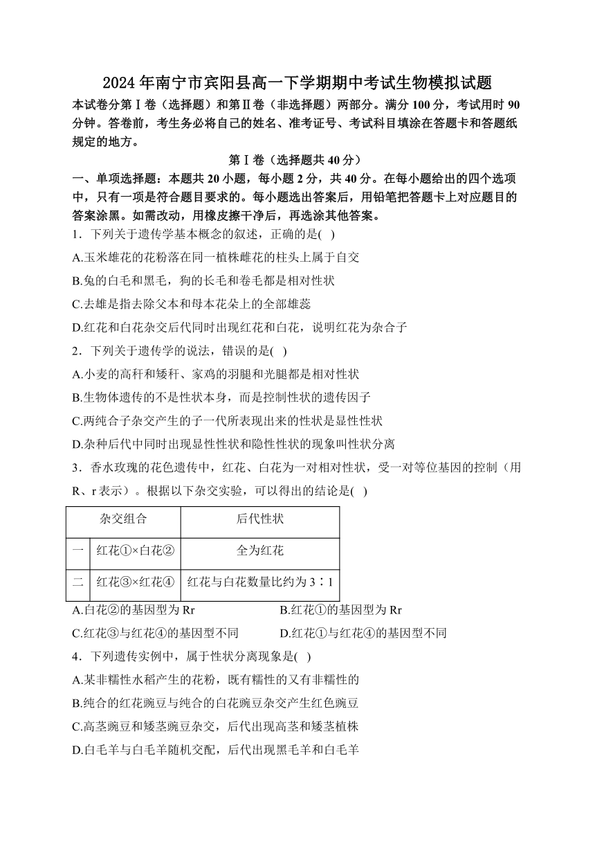 2024年广西壮族自治区南宁市宾阳县高一下学期期中考试生物模拟试题（PDF版含解析）