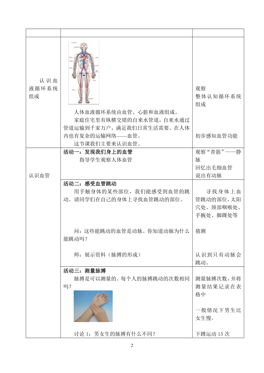 15.1人体内物质的运输--血管 教案（表格式）
