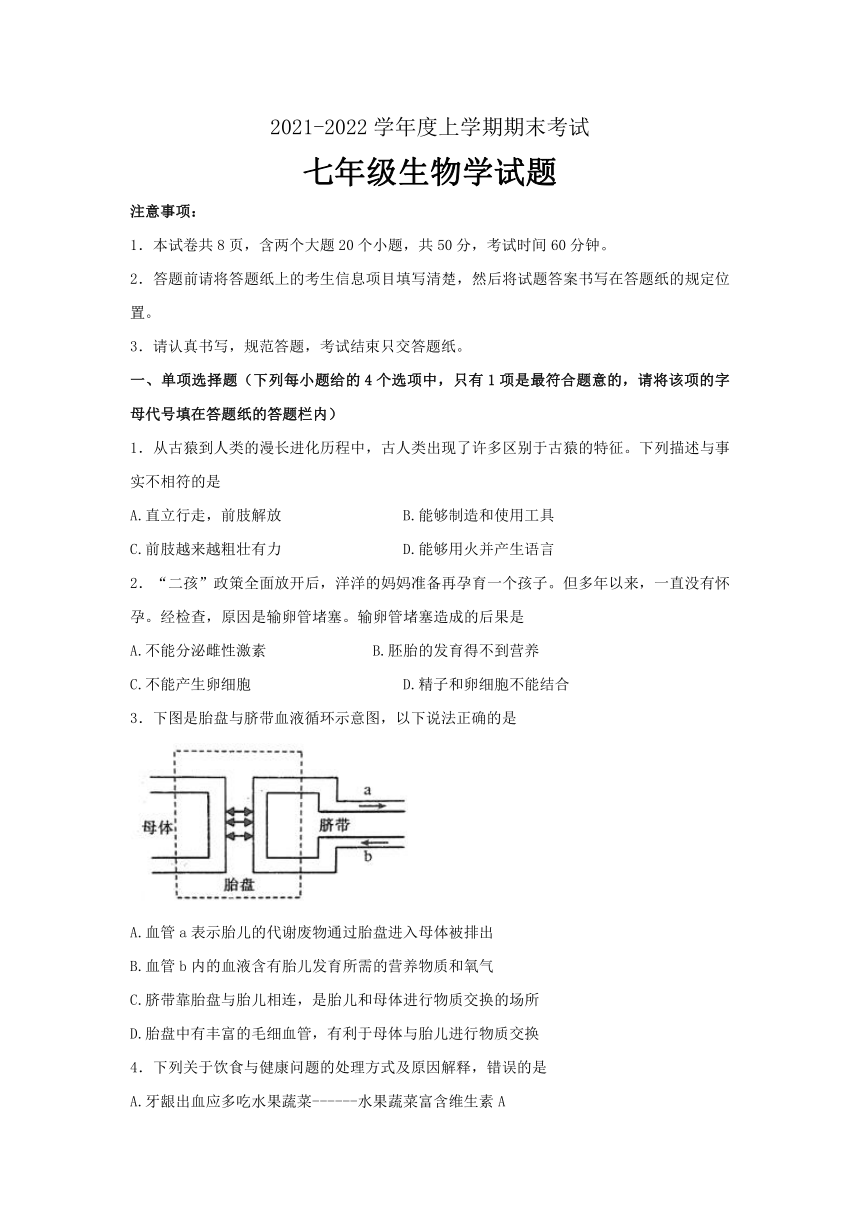 山东省泰安市肥城市（五四学制）实验中学2021-2022学年七年级上学期期末考试生物试题（word版含答案）