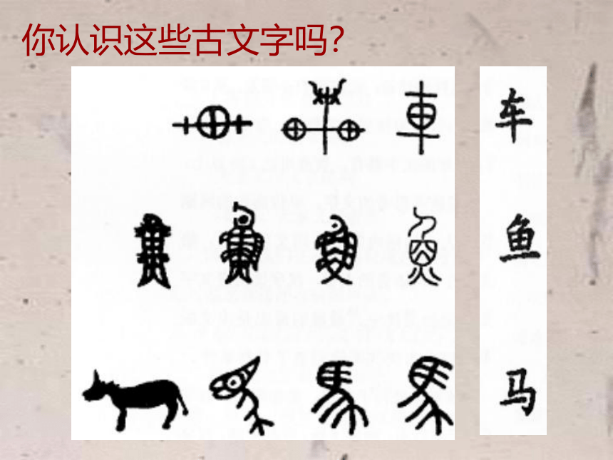 6 汉字变成画 课件 (共19张PPT)