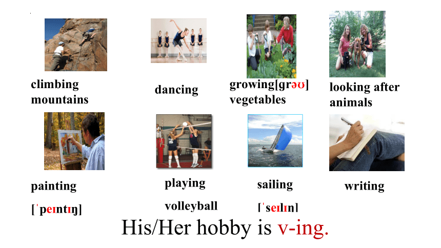 Module 6 Unit 2 Hobbies can make you grow as a person. 课件（38张PPT）2022-2023学年外研版英语八年级下册