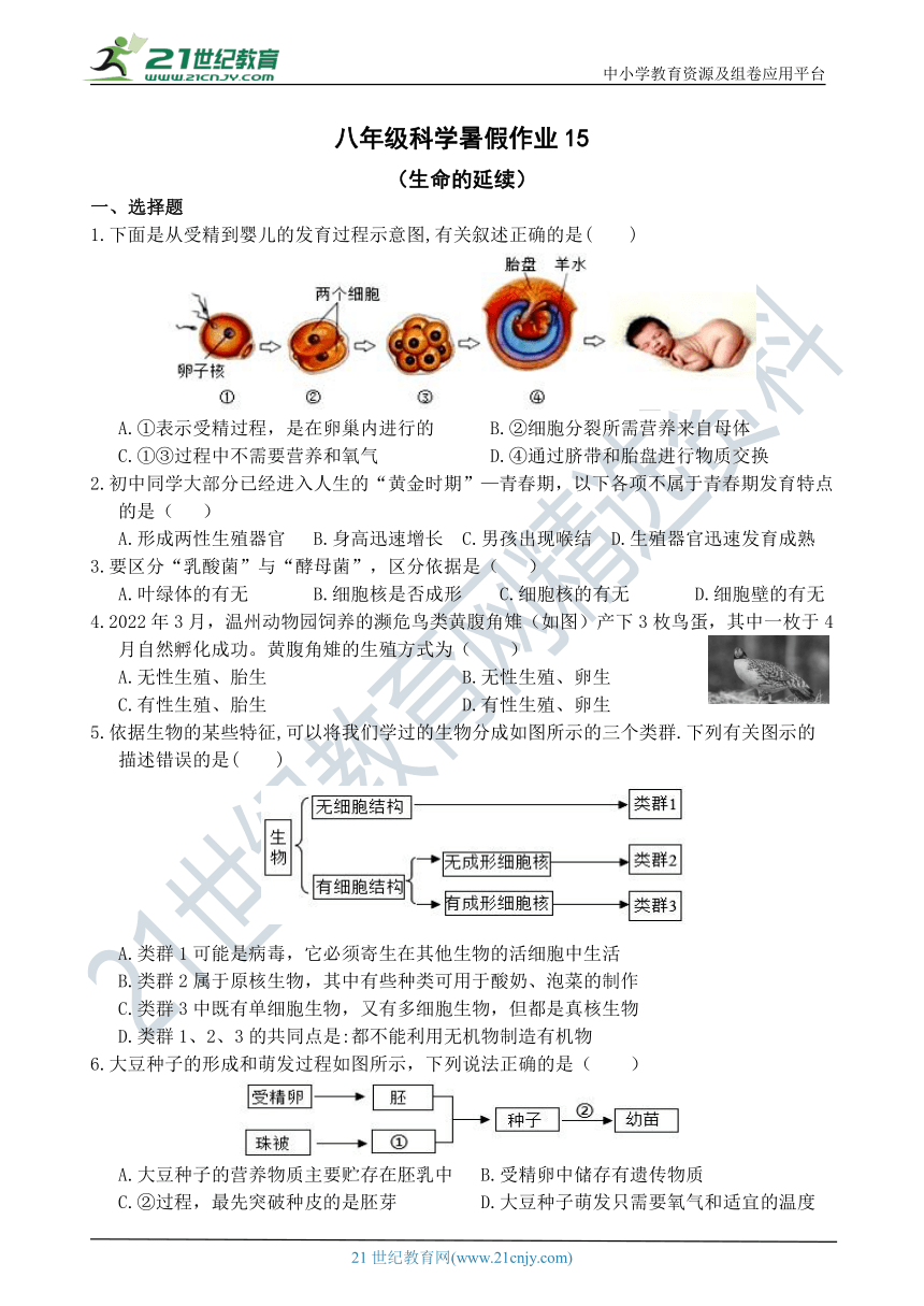 八年级科学暑托作业15（生命的延续）（含答案）