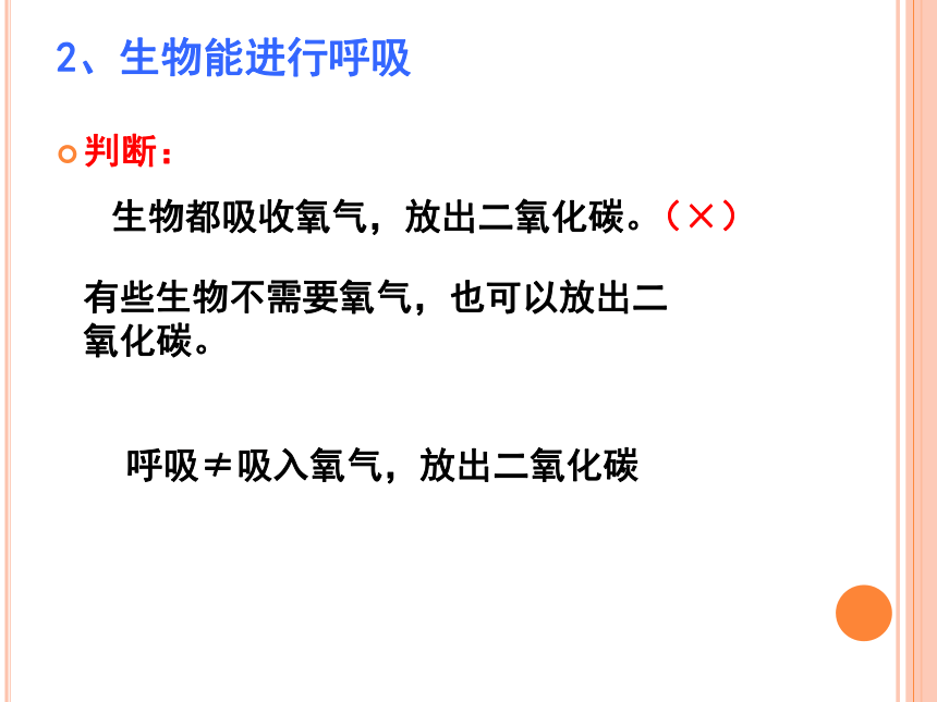 2021-2022学年鲁科版六年级上册生物1.1.1生物的特征课件(共31张PPT)