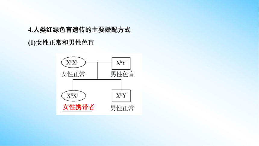 【课件版学案】2-3 伴性遗传 人教版2019必修2(共77张PPT)