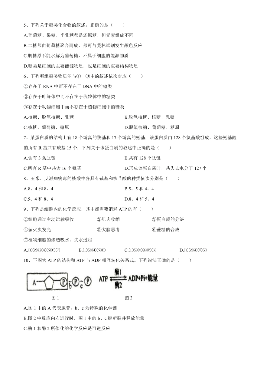 吉林省松原市长岭县第三中学2020-2021学年高一下学期第四次考试（开学考试）生物试题   含答案