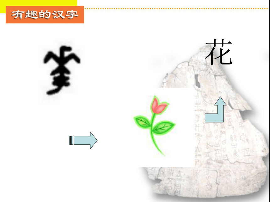 一年级下册美术课件-《第20课 汉字中的象形文字》 人教版(共21张PPT)