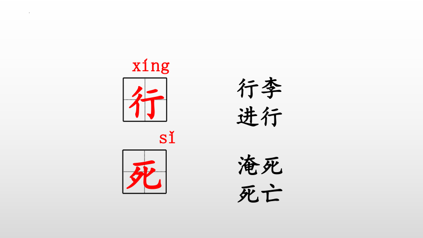 4 小公鸡和小鸭子 课件(共39张PPT)