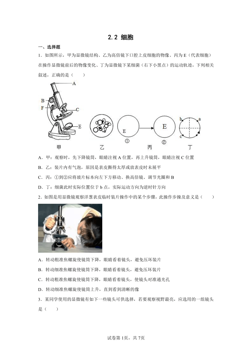 2.2 细胞 同步练习题（含解析）