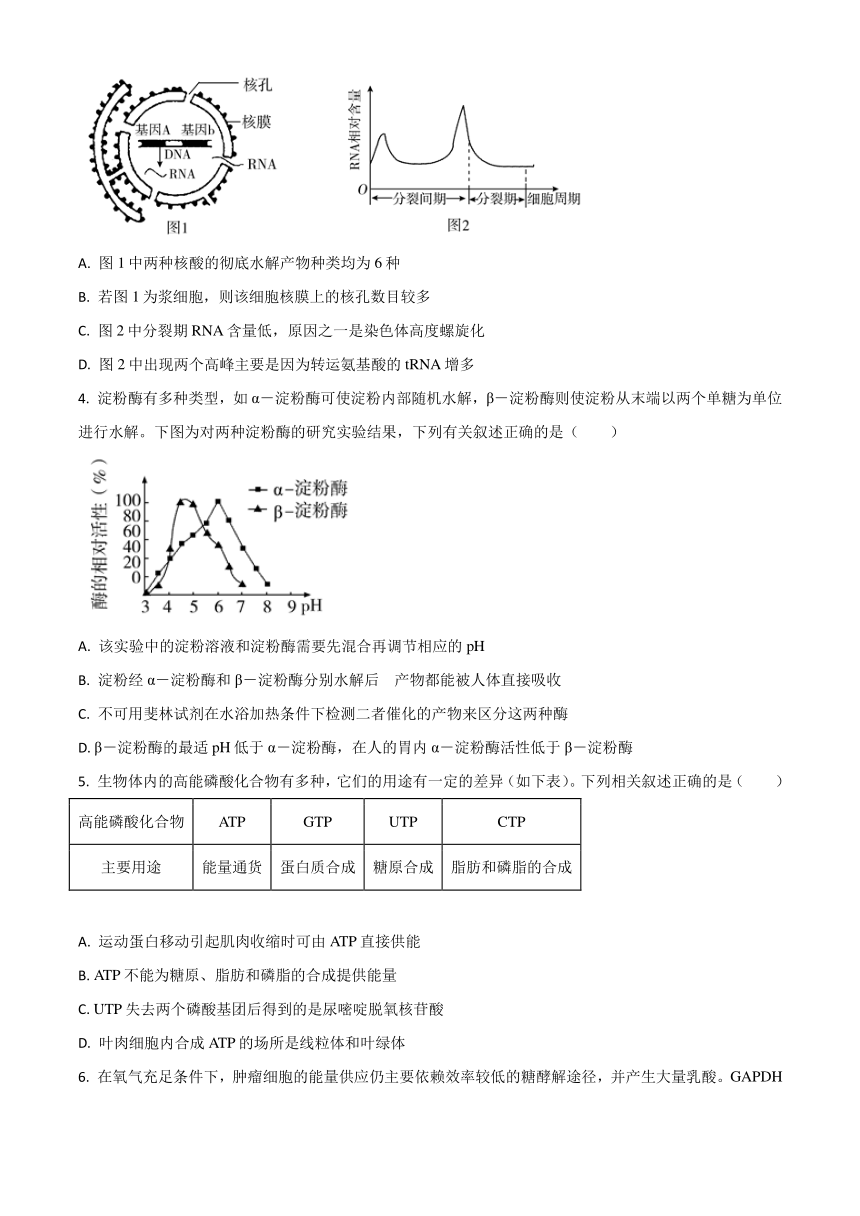 山东省济宁市兖州区2020-2021学年高二下学期期末质量检测生物试题 Word版含答案