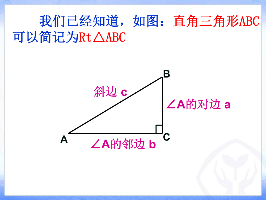 24.3.1锐角三角函数课件 华东师大版数学九年级上册（2）（21张）