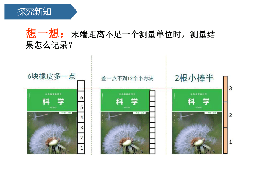 教科版（2017秋）一年级上册科学课件2.4  用不同的物体来测量（课件15张ppt）