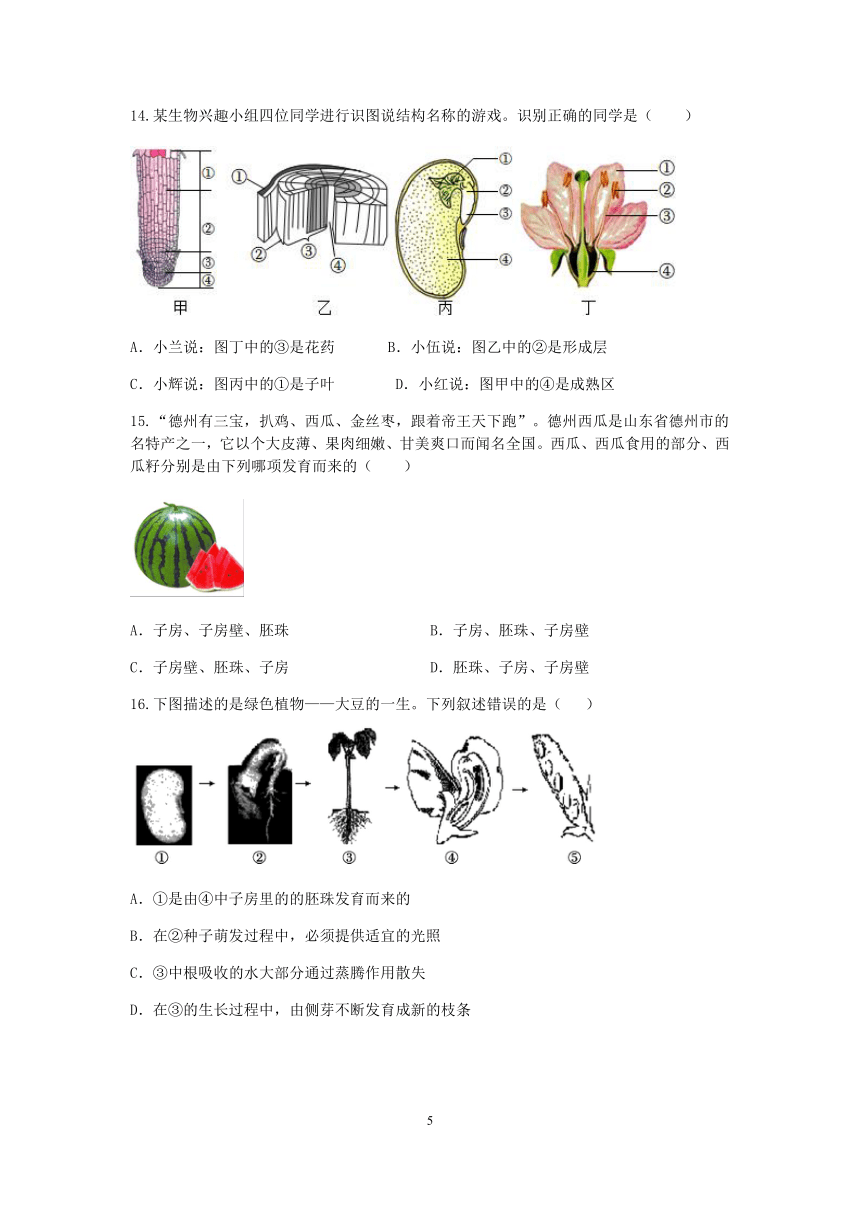 【备考2023】浙江中考科学考前易错点查漏补缺（十四）：植物的结构和功能（含解析）