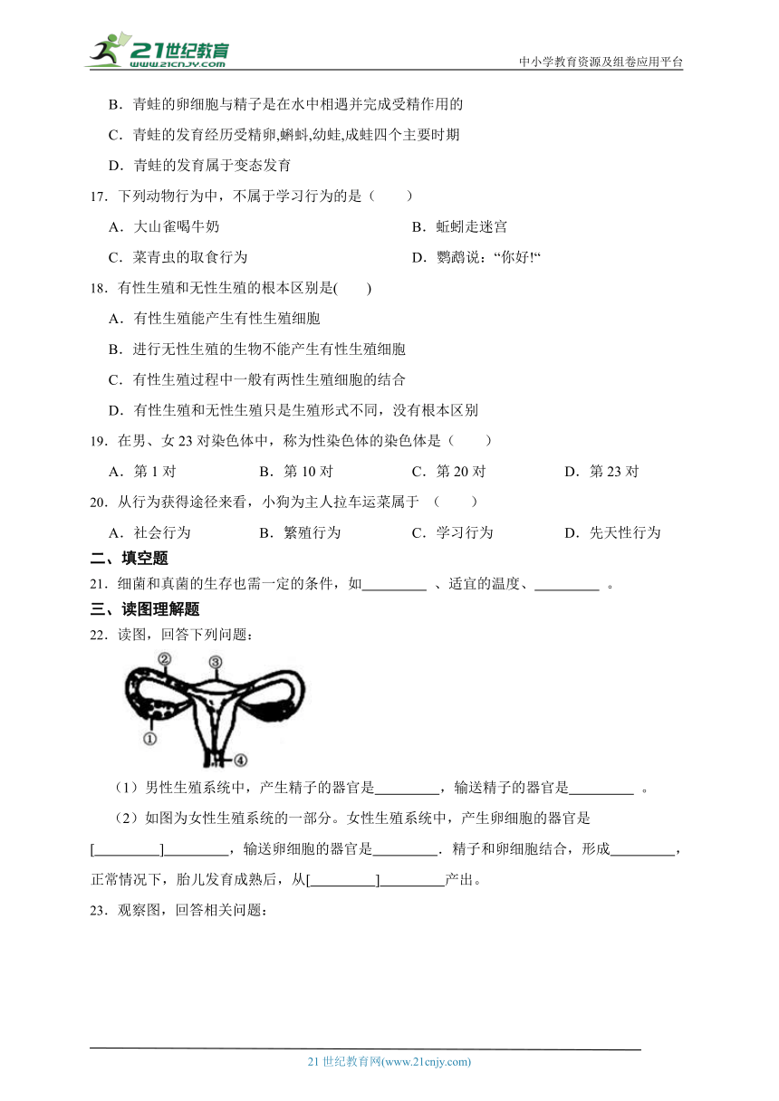 北师大版生物八年级上册期末检测试题（三）（含解析）