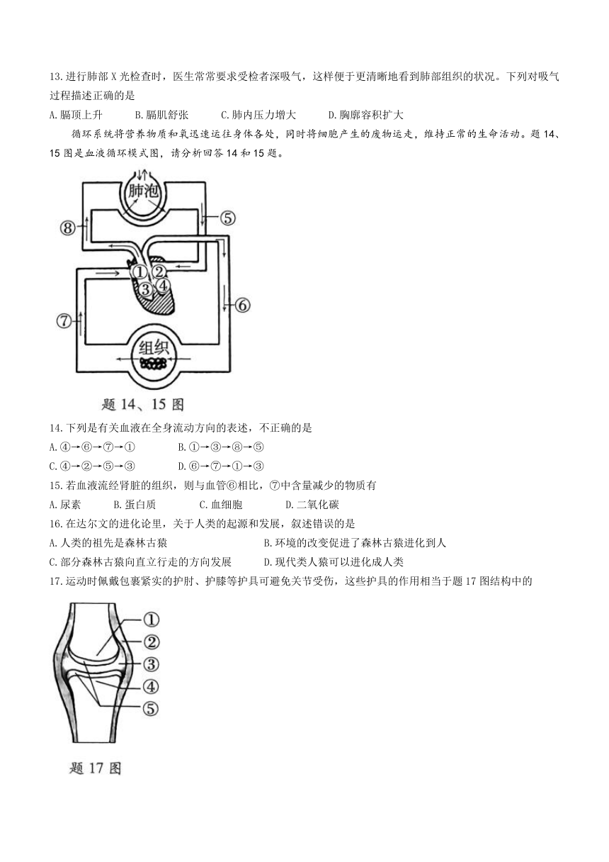 2023年广东省中山市万阅百校联盟中考三模生物试题(含答案)