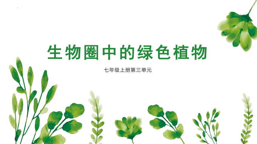 专题06 绿色植物与生物圈的水循环（课件）-2022-2023学年七年级生物上学期期中期末考点大串讲（人教版）(共20张PPT)