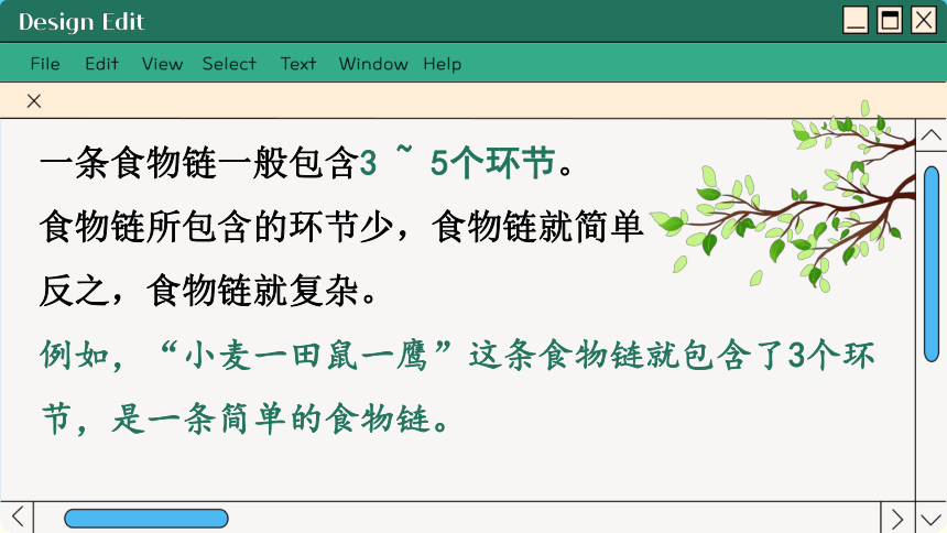 3.6.1 食物链课件(共41张PPT)2023-2024学年初中生物苏科版七年级上册