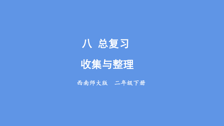 8.6.收集与整理  课件（17张PPT)  西师大版二年级下册数学