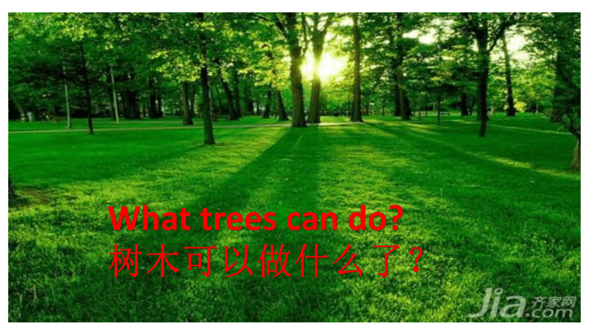 Unit 4 Planting trees is good for us 课件（共23张ppt）