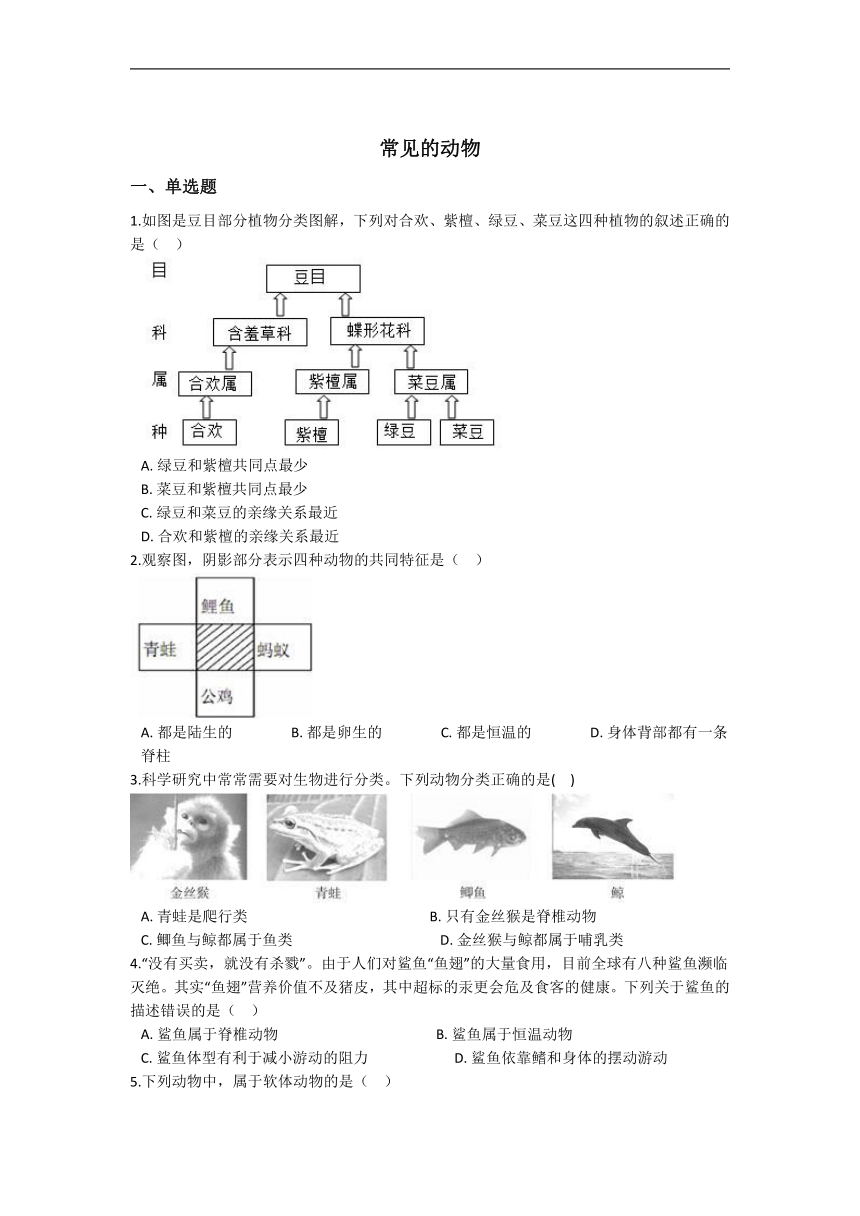 2.4 常见的动物 同步练习（含解析）