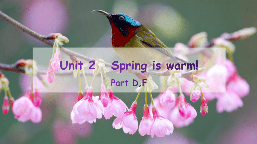 Unit2 Spring is warm. 第三课时 课件