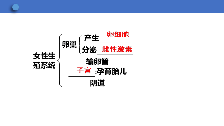 6.1.3 人的生殖和胚胎发育课件(共23张PPT)2023-2024学年初中生物冀少版八年级下册