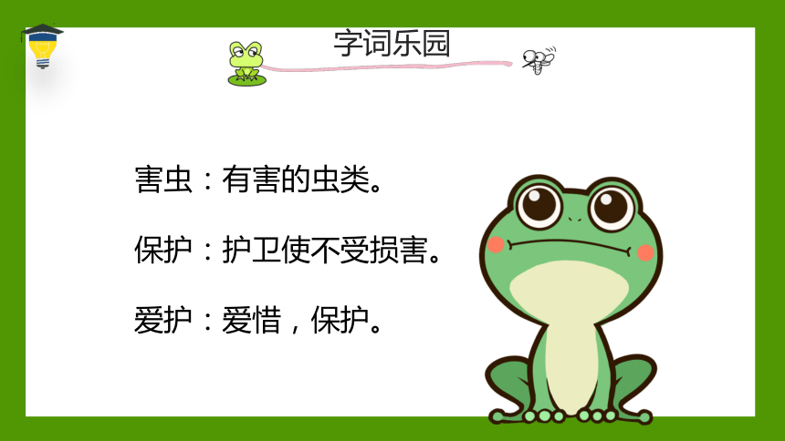3小青蛙 课件(共20张PPT)