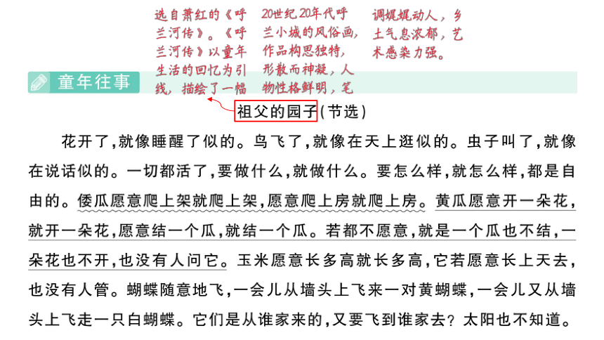 部编版语文五年级下册期末专题复习课内阅读  习题课件(共24张PPT)