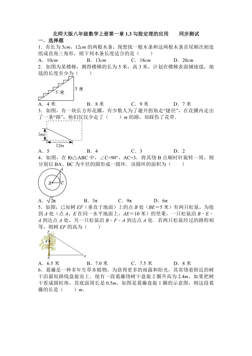 2022—2023学年北师大版数学八年级上册1.3勾股定理的应用  同步测试(word版含答案)