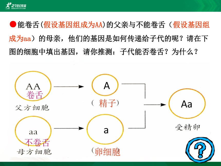 7.2.3 基因的显性和隐形  课件(共28张PPT)