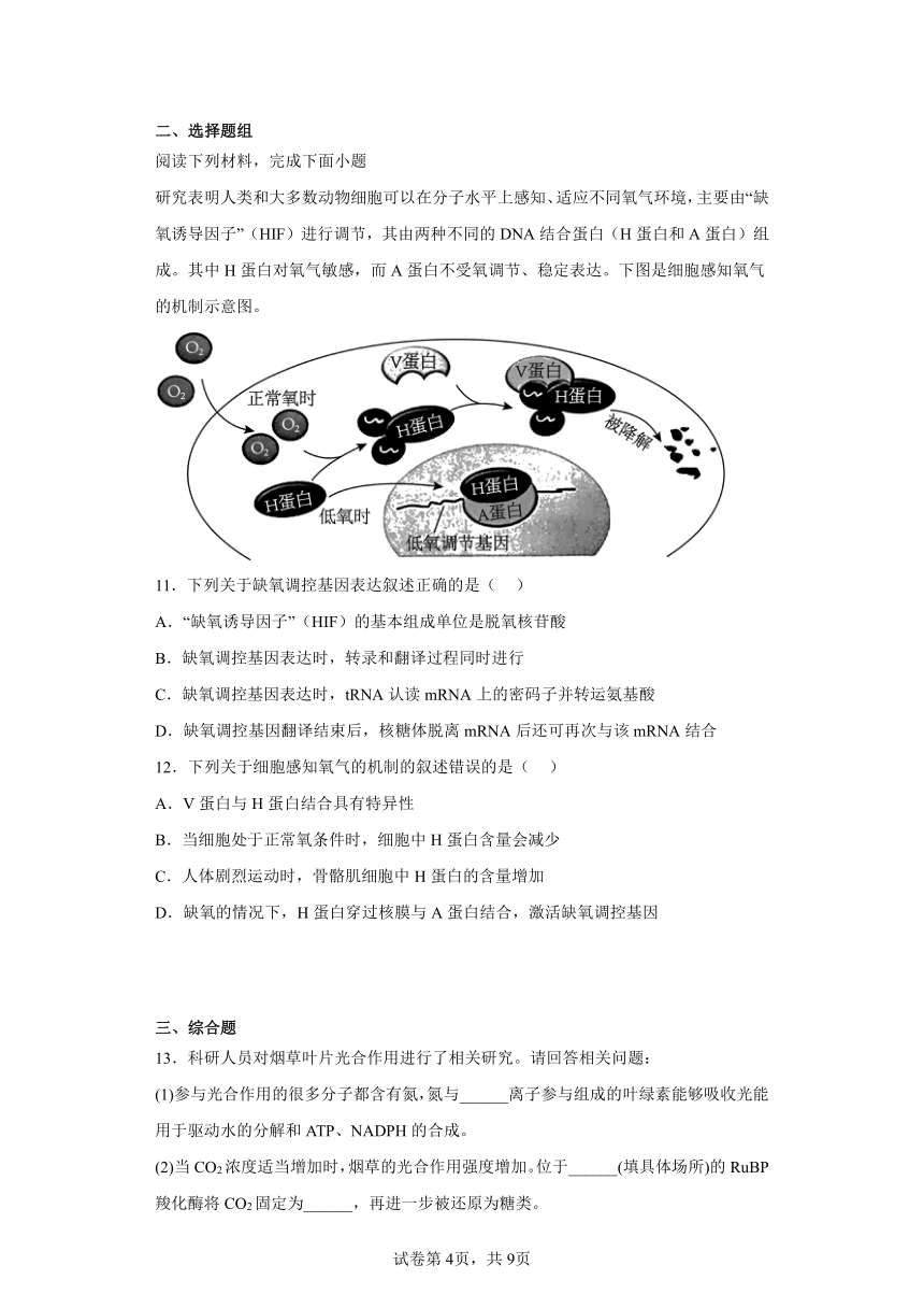 2023届天津市南开中学高三第六次模拟考试生物试题（含解析）