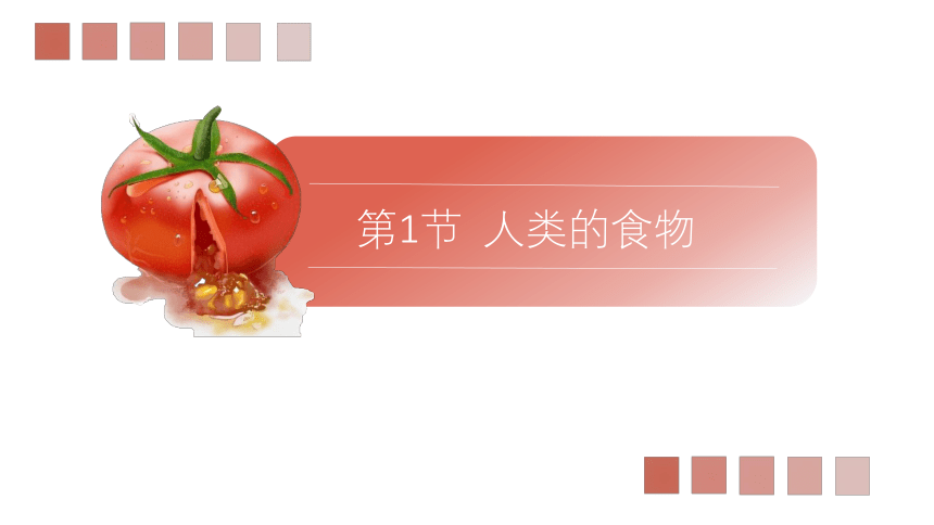 8.1人类的食物课件(共26张PPT)2022--2023学年北师大版七年级下册生物