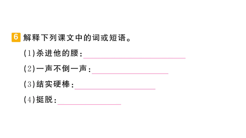 部编版语文五年级下册第五单元习题课件(共31张PPT)